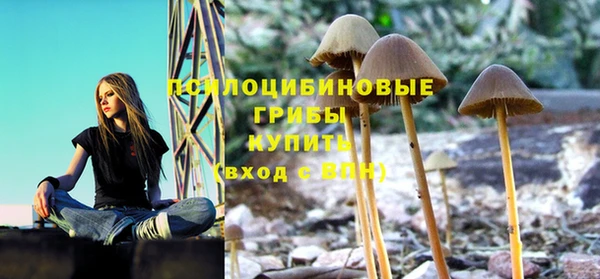 таблы Кодинск