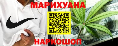 Альфа ПВП Можга