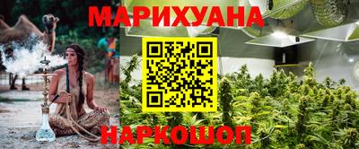 Альфа ПВП Можга