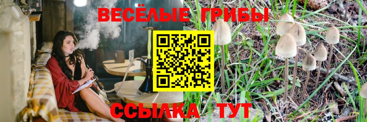 Псилоцибиновые грибы Cubensis Псков