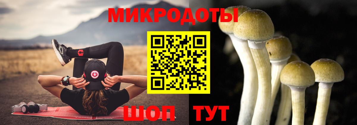 Галлюциногенные грибы прущие грибы  Вход с VPN  Псков 